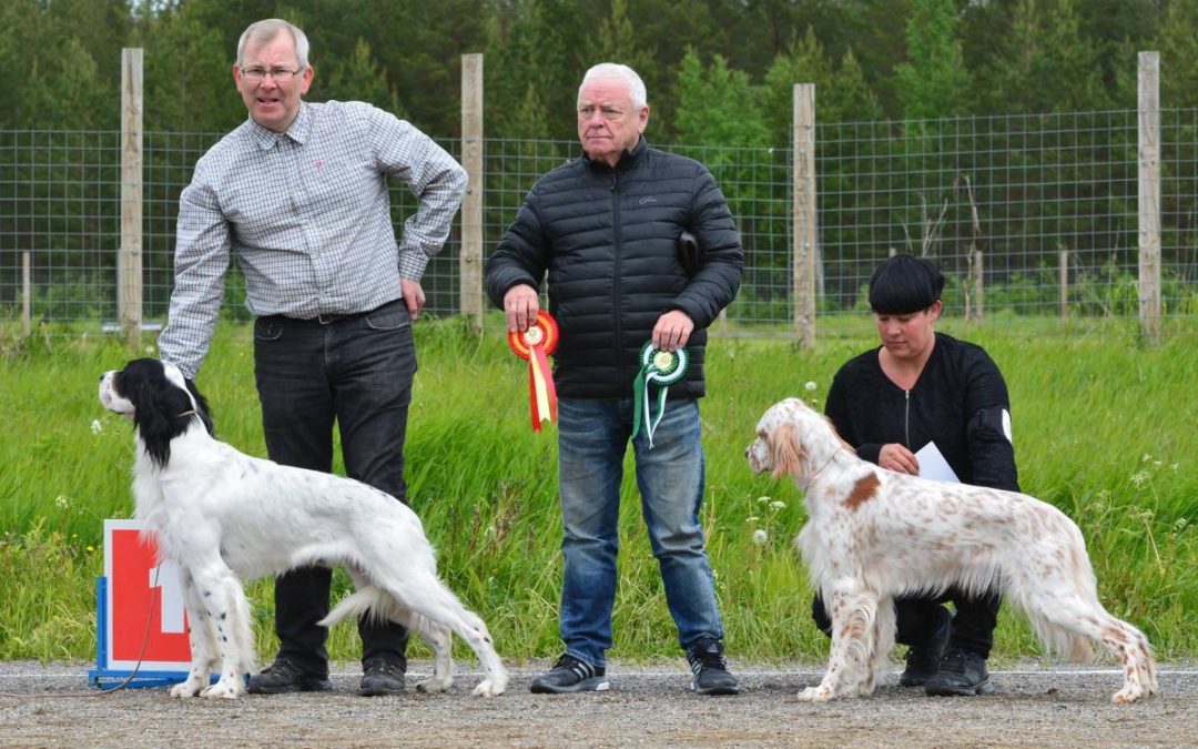 Erikoisnäyttely 2016