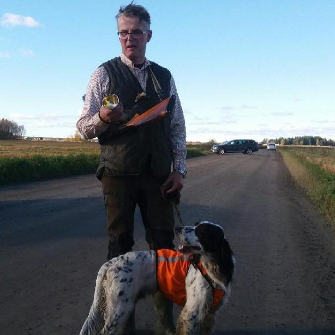 Kultamaljan ja Derbyn voitot englanninsettereille