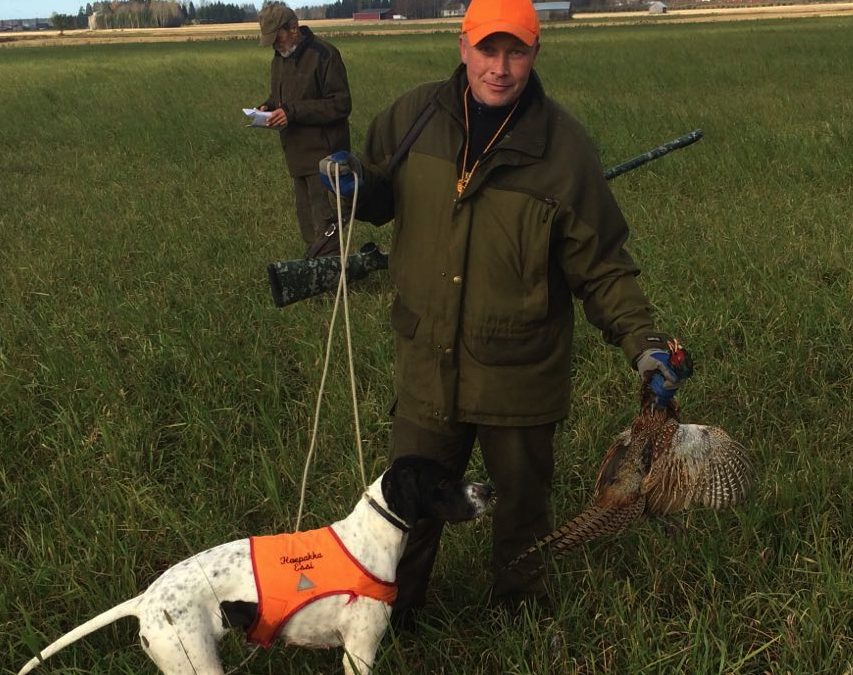Haepakka Essi AVO 1, Settermosen Brownie AVO 3