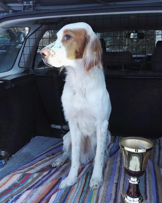 5.11. KaKe Pornainen