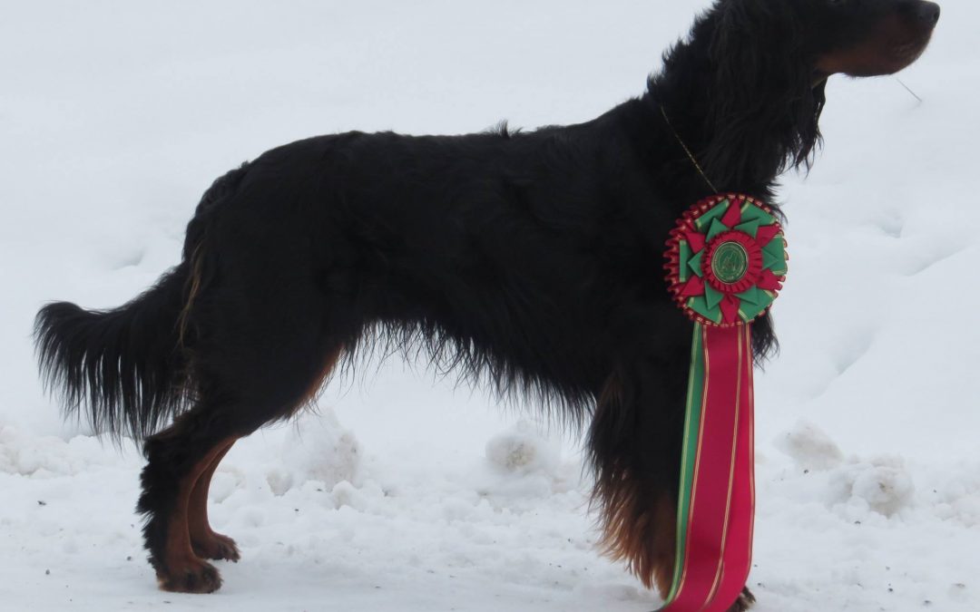 FI MVA Loukasahon Becu