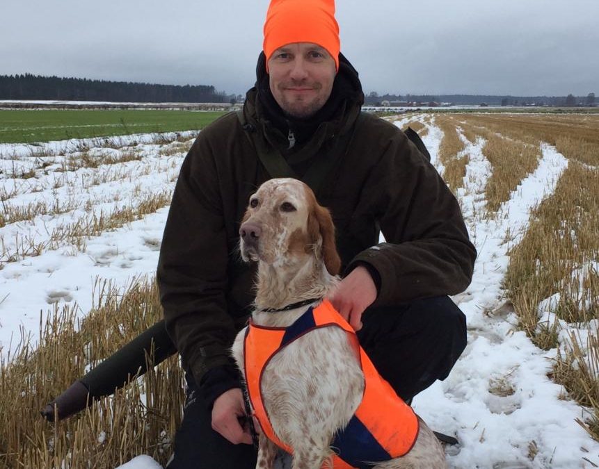 Vuoden englanninsetteri ja Vuoden nuori englanninsetteri