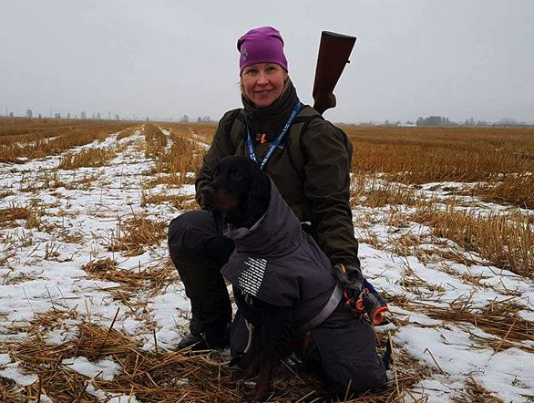 Vuoden gordoninsetterit 2017