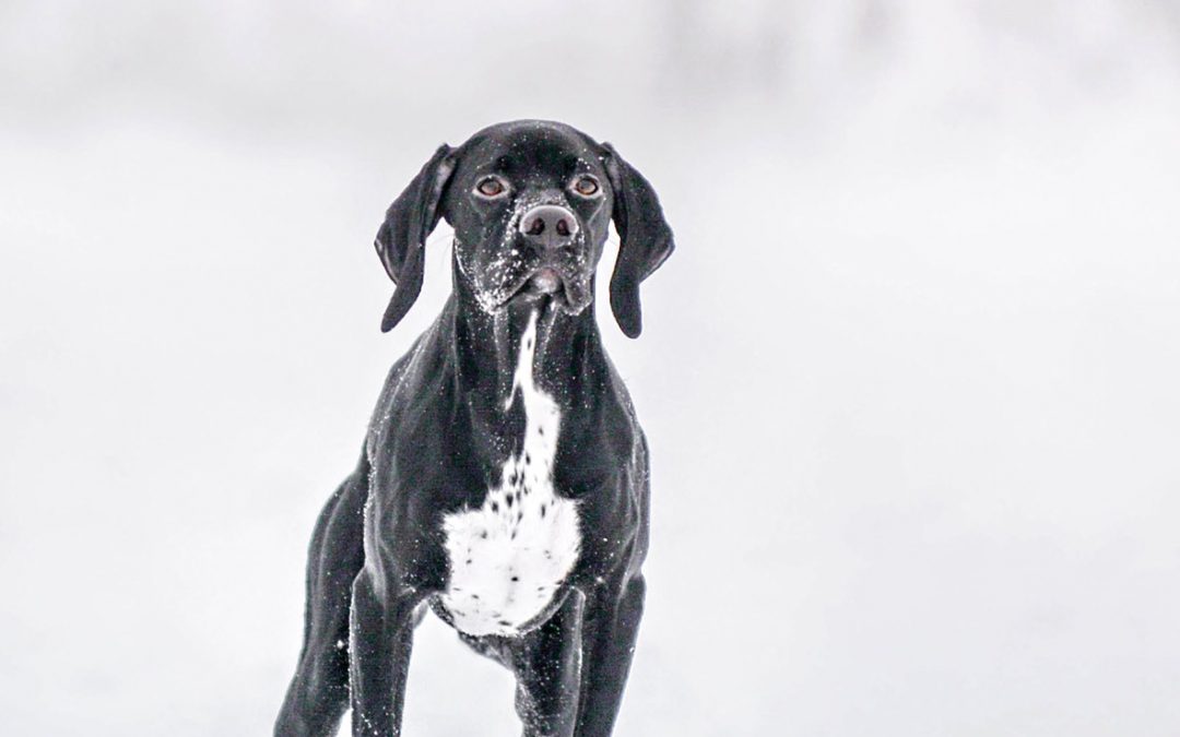 Ekipage -lehden mediakortti on päivitetty nettisivuille