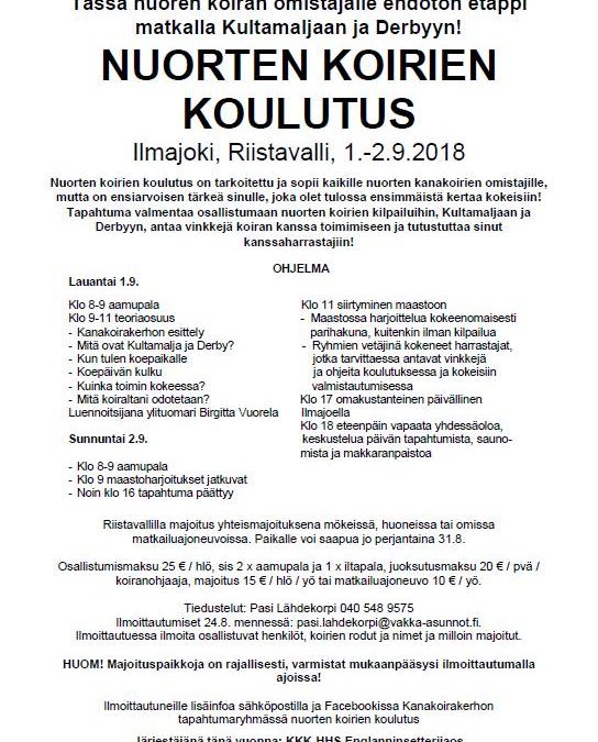 Nuorten koirien koulutus