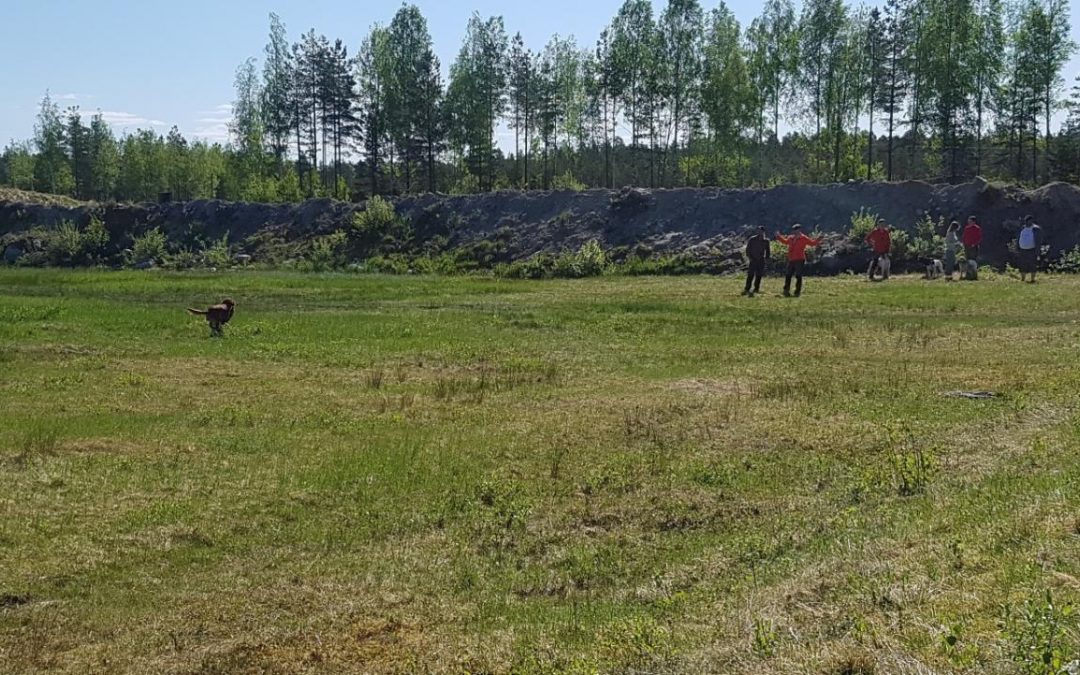 Kevätpäivien 2018 kuulumisia ja tuloksia