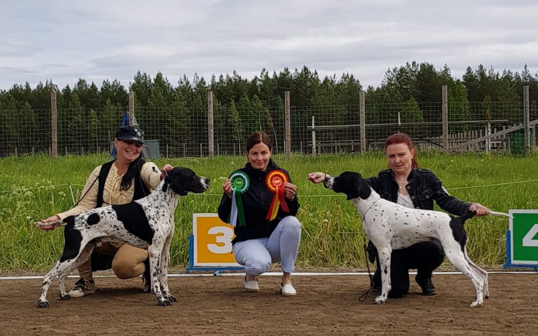 Pointterit erikoisnäyttelyssä 2018