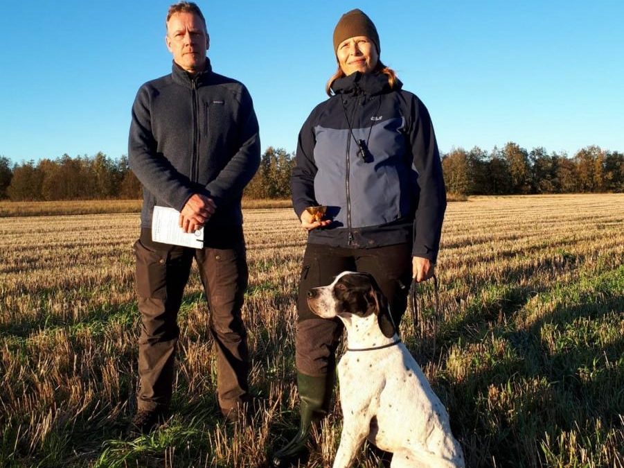 Ikäkausimestaruudet pointtereille!