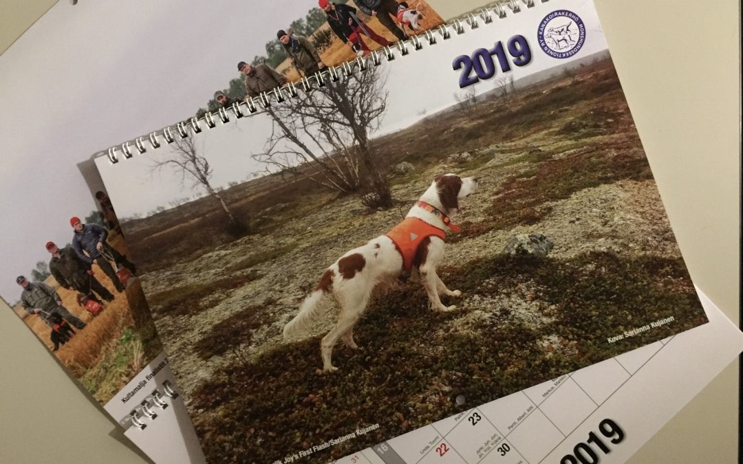 Vuosikalenteri 2019
