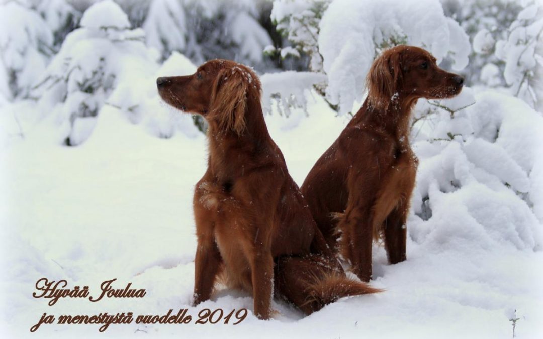 Hyvää Joulua ja menestystä vuodelle 2019