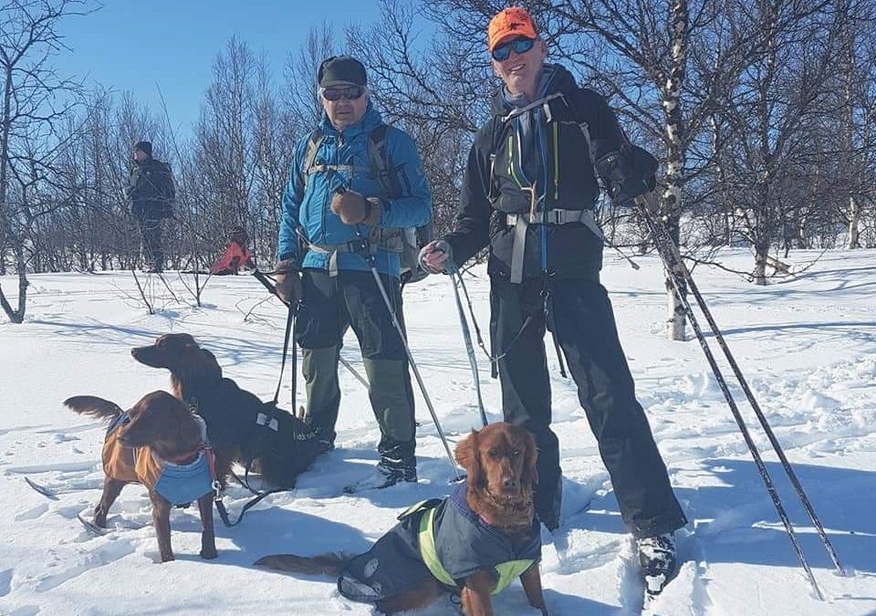 Hemavan, Ruotsi 5.4.2019
