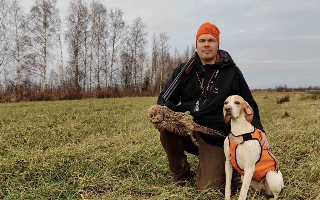 Koekauden 2019 parhaat englantilaiset kanakoirat