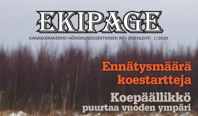 Vuoden ensimmäinen jäsenlehti on nyt luettavissa