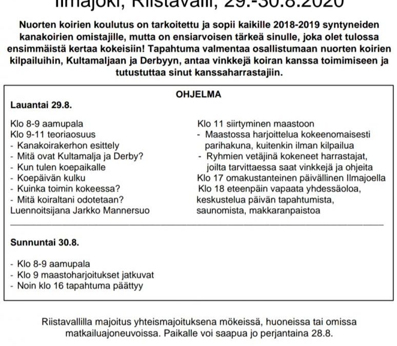 Nuorten koirien koulutus 29.-30.8.2020
