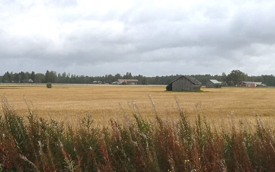 Kultamaljan ja Derbyn järjestäminen turvallisesti