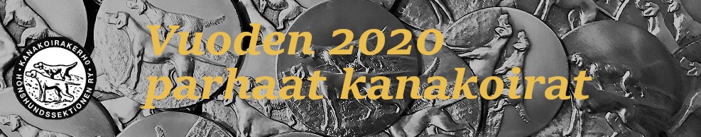 Koekauden 2020 parhaat englantilaiset kanakoirat