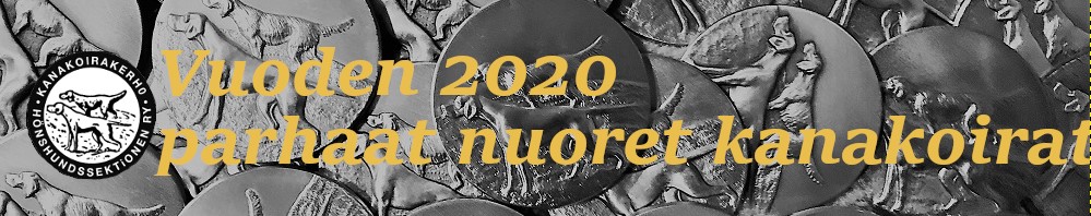 Koekauden 2020 parhaat nuoret englantilaiset kanakoirat