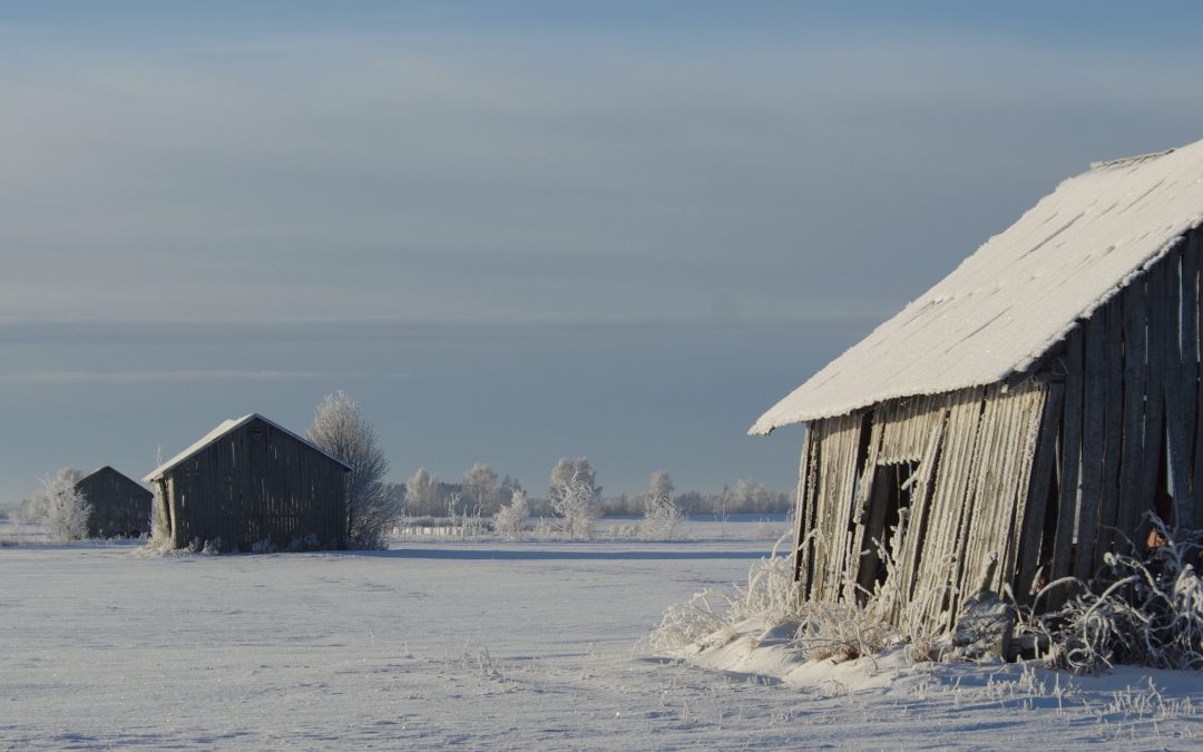 Hallituksen kokouskuulumisia joulukuulta