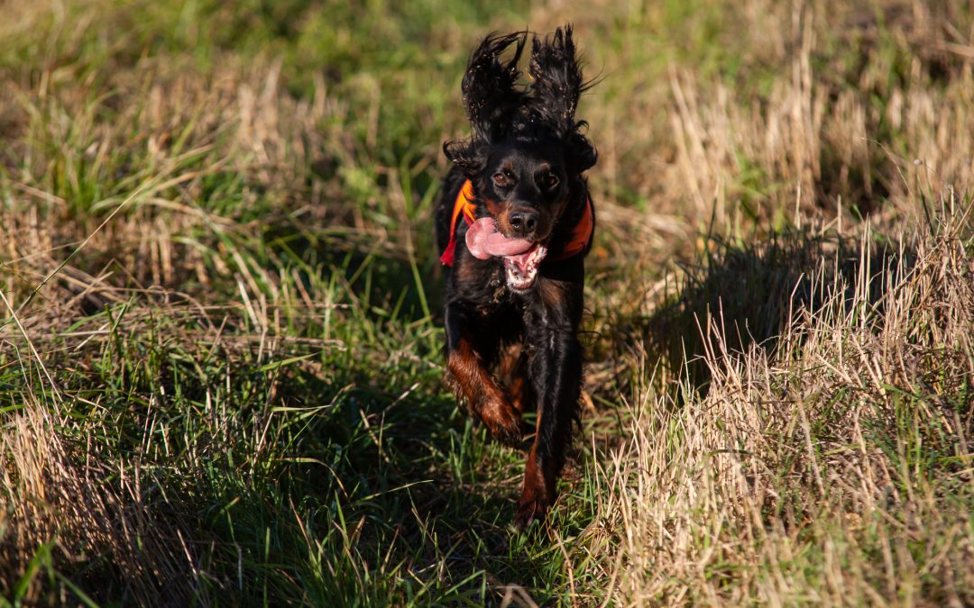 Hallitus tiedottaa 6/2025