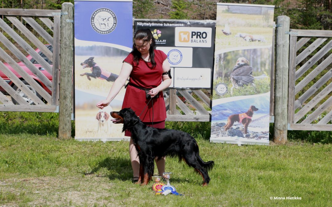 Erikoisnäyttely 2024