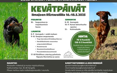 Gordoninsetterien ja irlanninsetterien Kevätpäivät Ilmajoen Riistavallilla 16.-18.5.2025