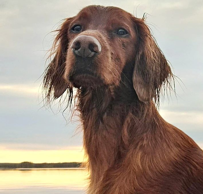 Ekipage 3/2025 julkaistu!