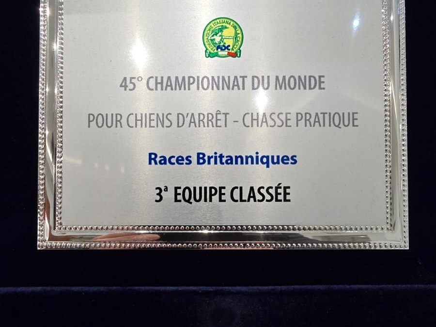 MM-kisoista pronssia Suomeen!